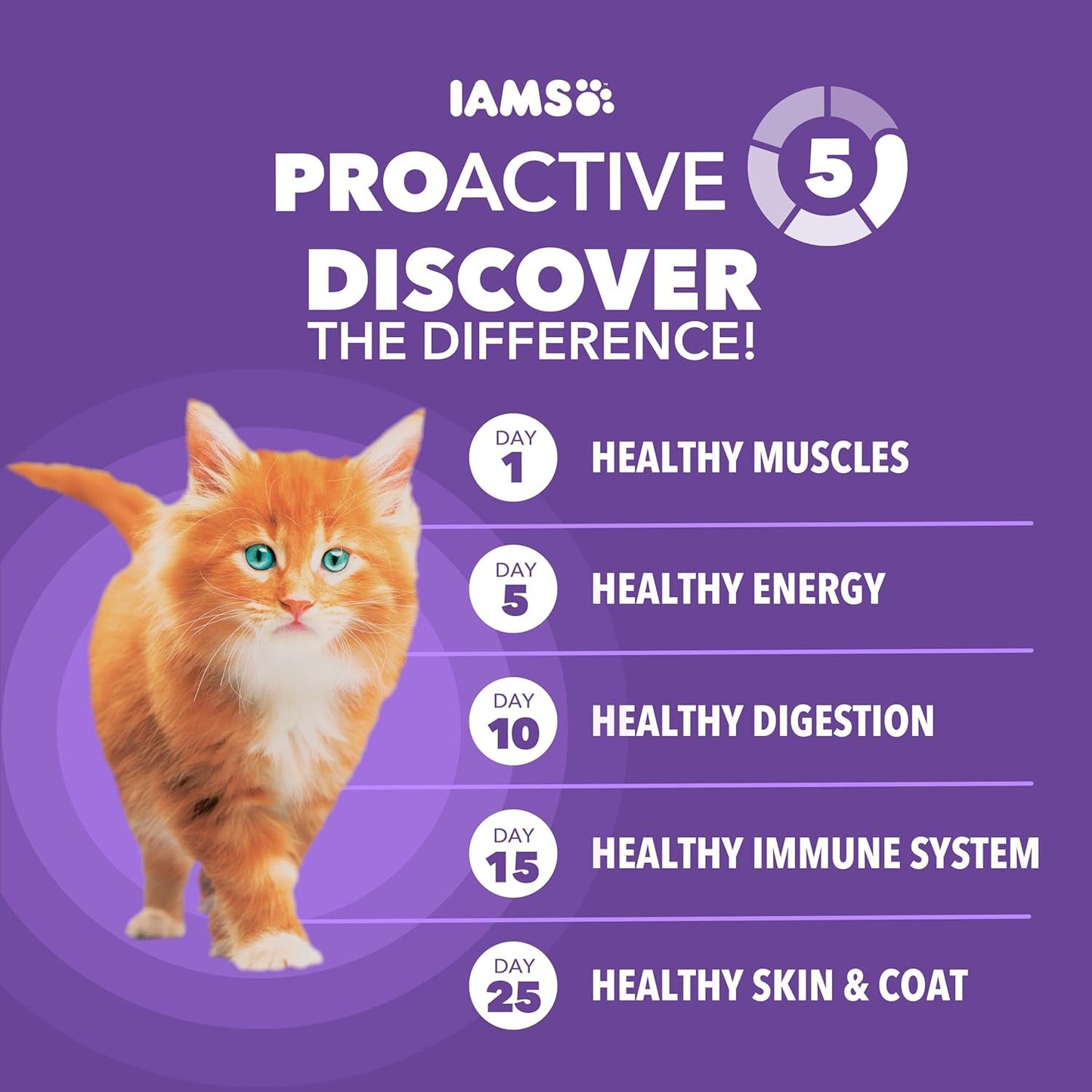 Proactive Health Dry Cat Food for Kittens, Nutrient-Rich Recipe with Real Chicken, 16 lb Bag