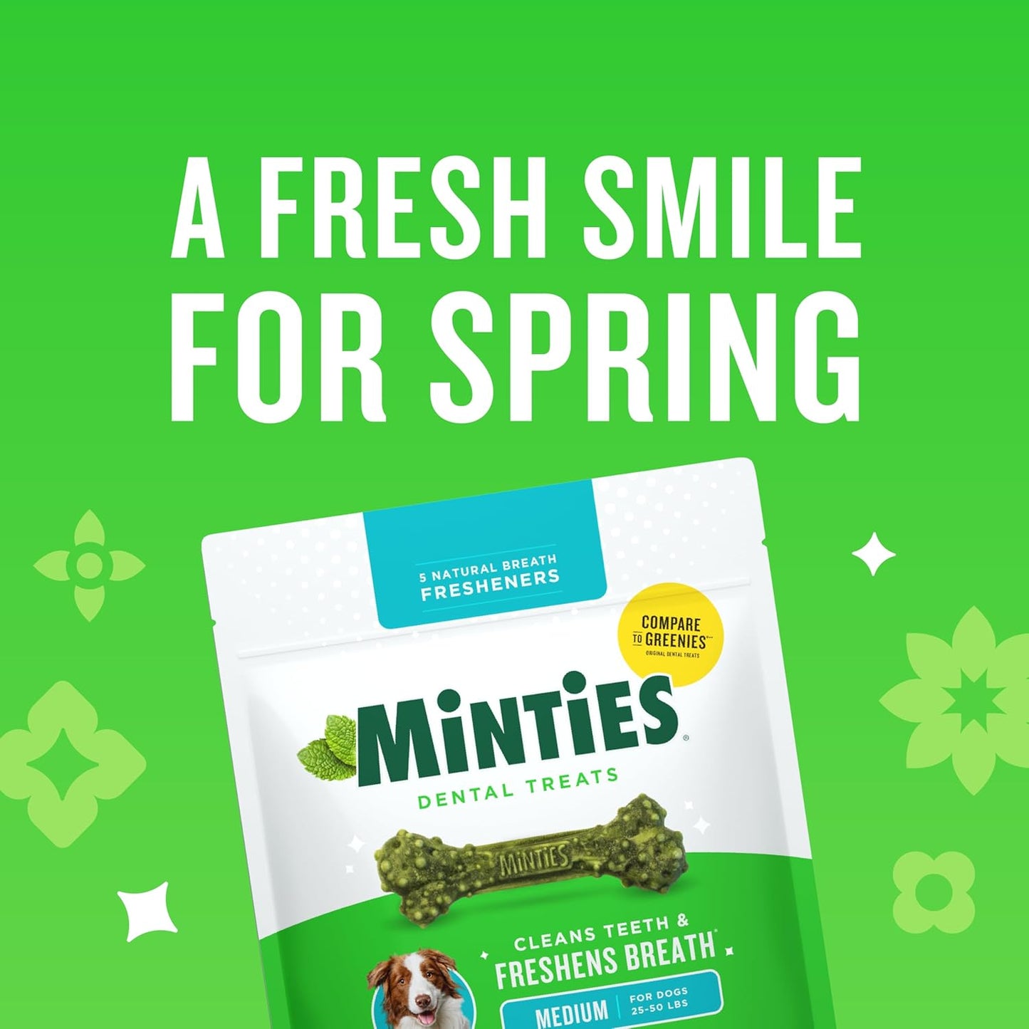 Vet-Recommended Mint-Flavored Dental Chews for Medium Dogs (25-50 lbs) - 20 Count, Promotes Oral Health by Reducing Plaque, Tartar, and Bad Breath