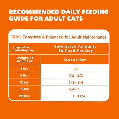 Proactive Health Dry Cat Food for Adults, Chicken Recipe, 7 lb Bag