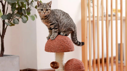 2 Mushrooms Cat Scratching Post 19" Sisal Claw Scratcher for Kittens and Small Cats, Brown