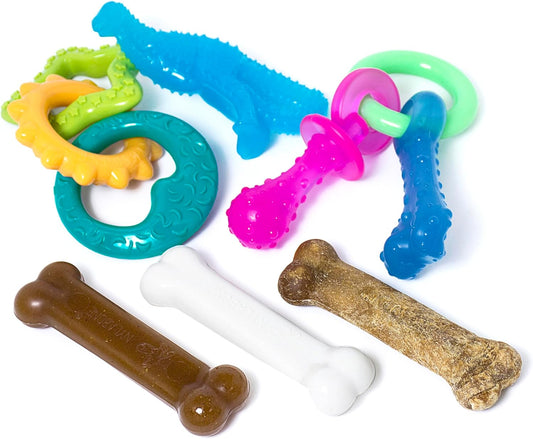 Puppy Starter Kit: 5 Assorted Chew Toys and 1 Natural Treat for Small Dogs (Up to 25 lbs) - Bacon & Chicken Flavor, 6 Pack