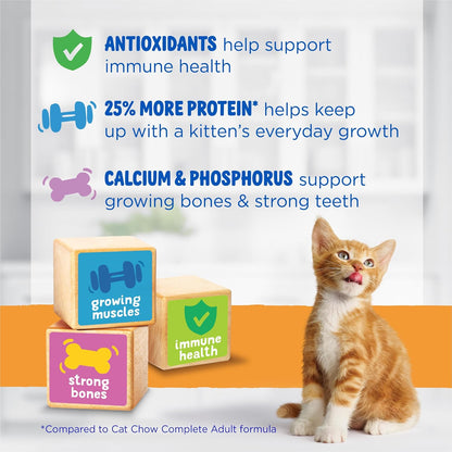 Purina Kitten Chow Year One Essentials High-Protein Dry Kitten Food with Real Chicken and Essential Nutrients - 14 lb Bag