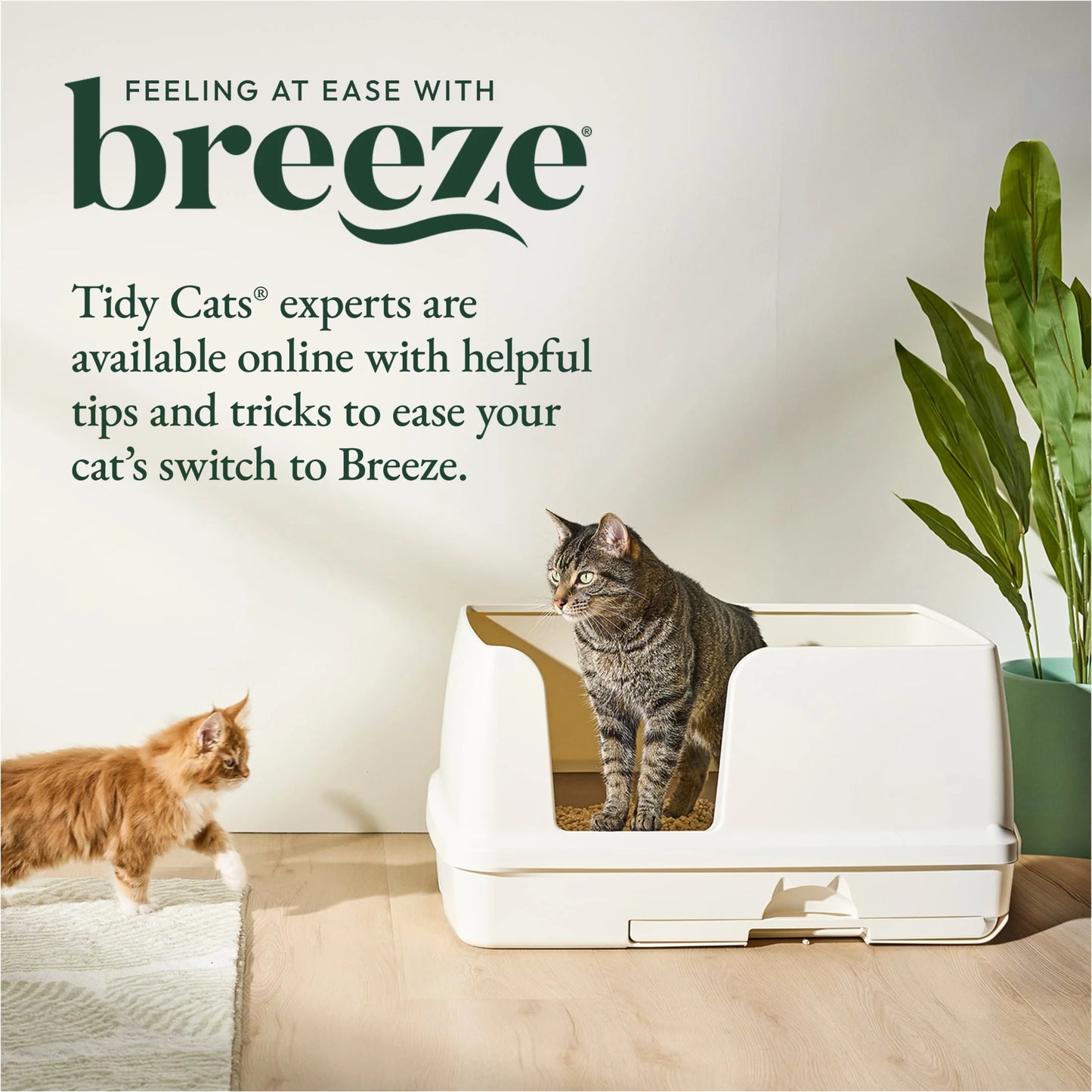 Purina Breeze XL Cat Litter Box System with Pellet Litter and Litter Pads