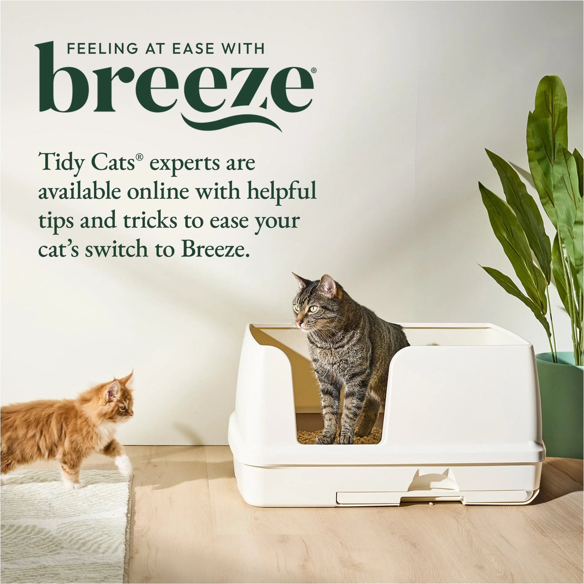 Purina Breeze XL Cat Litter Box System with Pellet Litter and Litter Pads