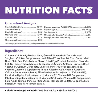 Proactive Health Dry Cat Food for Kittens, Nutrient-Rich Recipe with Real Chicken, 16 lb Bag
