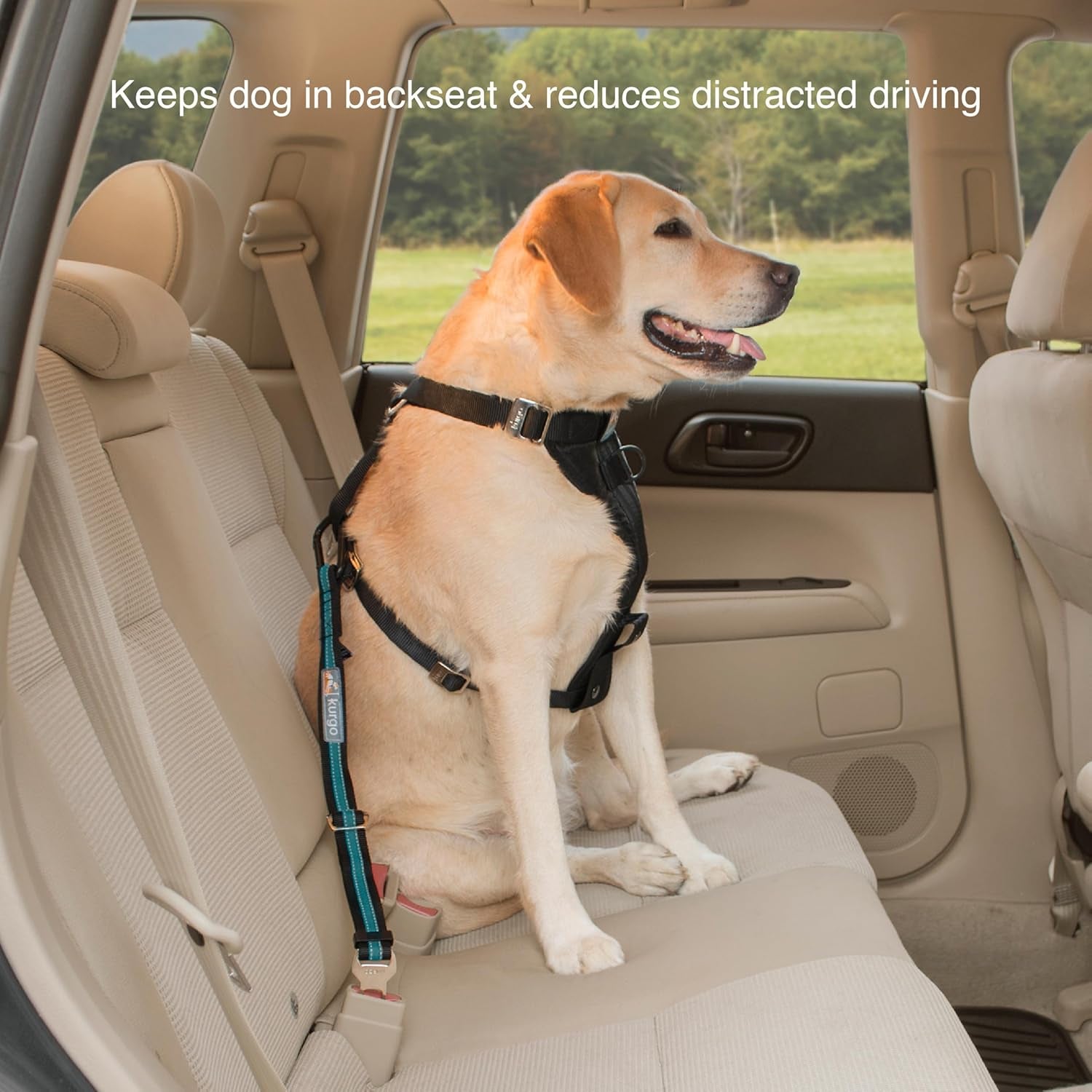 Direct Seatbelt Tether for Dogs - Adjustable Car Harness Clip with Universal Fit - Durable Steel Hardware - Backseat Restraint in Coastal Blue