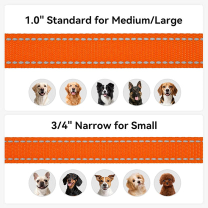 5 FT Double-Sided Reflective Dog Leash with Padded Handle, Heavy Duty Nylon for Medium and Large Dogs, Orange