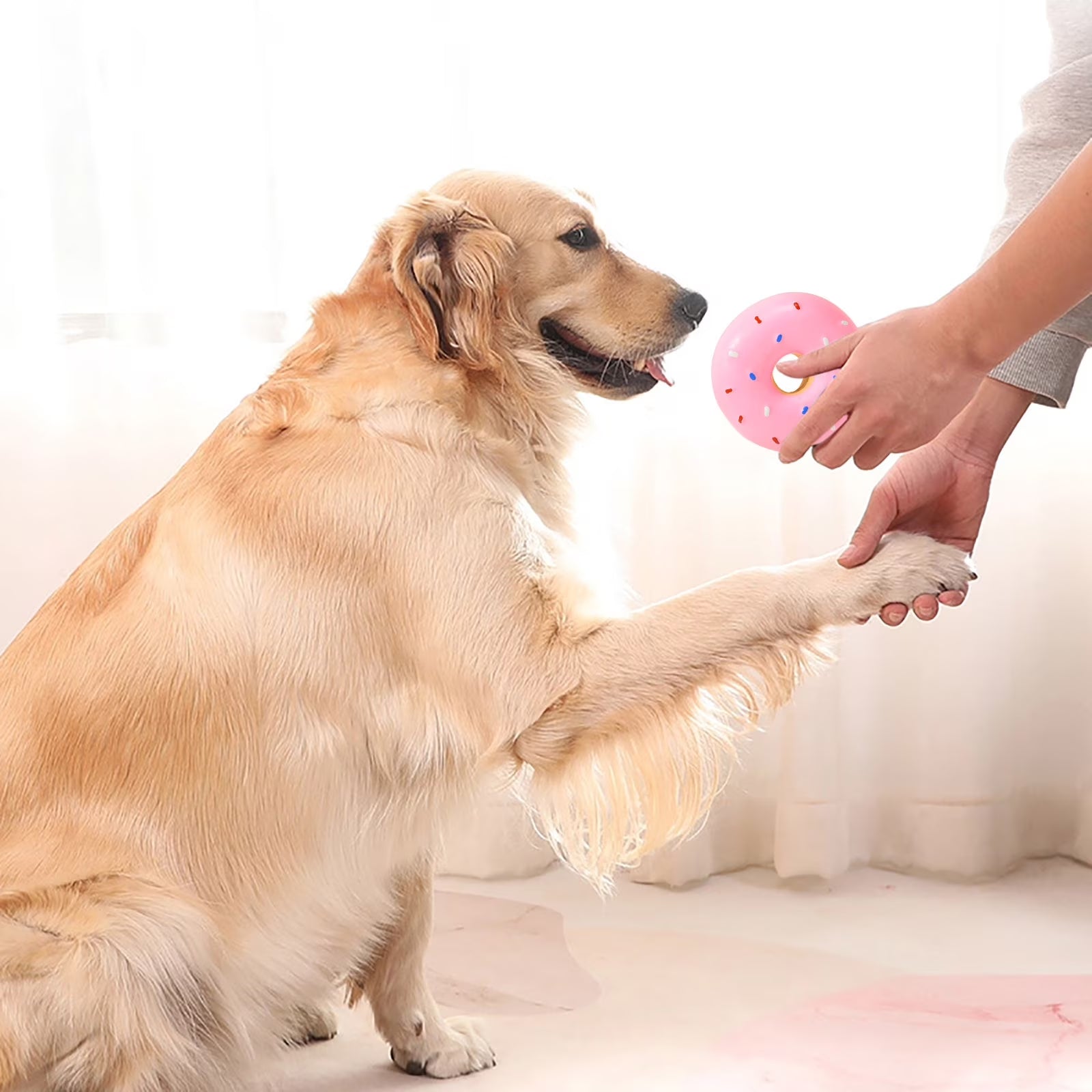 Durable Latex Donut-Shaped Squeaky Chew Toy for Puppies and Aggressive Chewers - Ideal for Small and Large Breeds