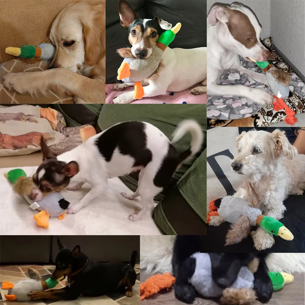 Plush Squeaky Duck Dog Toy with Chew Rope and Dental Cleaning Features