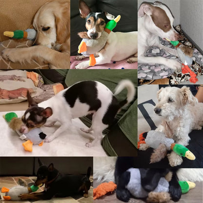 Plush Squeaky Duck Dog Toy with Chew Rope and Dental Cleaning Features