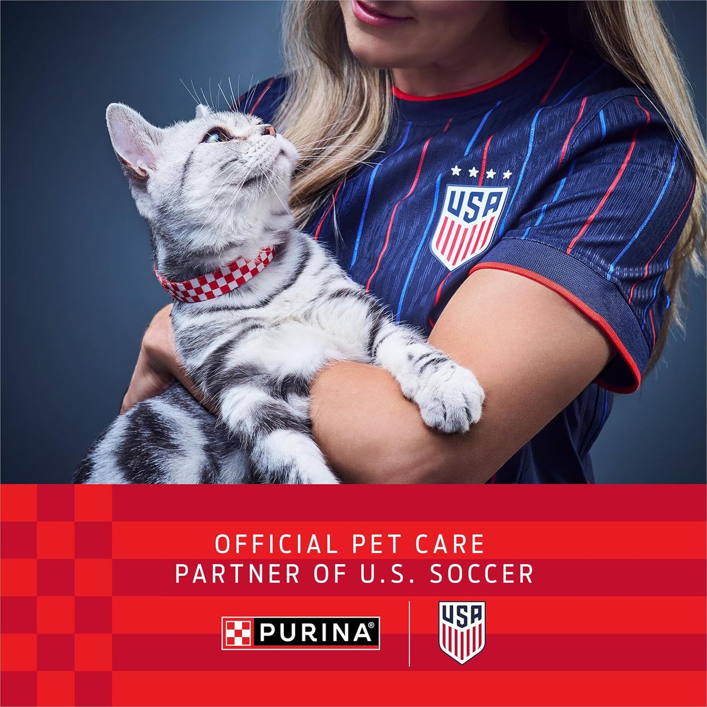 Purina Kitten Chow Year One Essentials High-Protein Dry Kitten Food with Real Chicken and Essential Nutrients - 14 lb Bag
